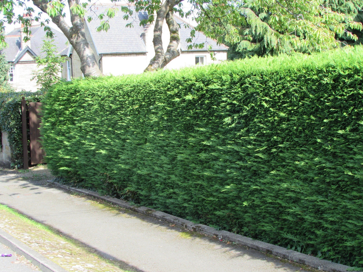 Hedging