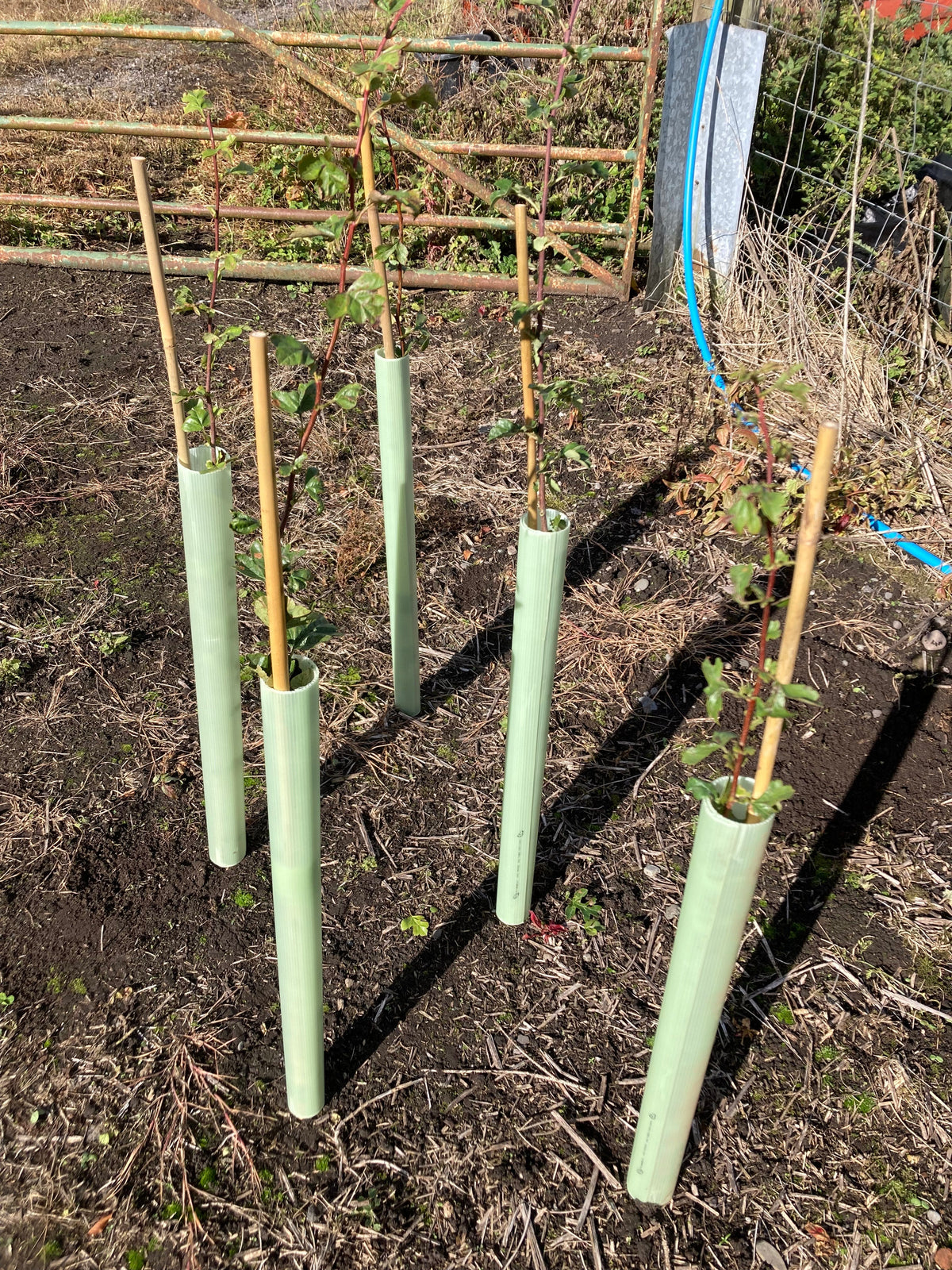 Farm Stewardship Hedging