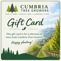 Cumbria Tree Growers Gift Card