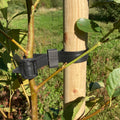 Buckle Tree Ties